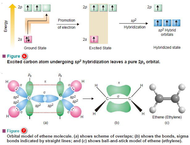 Hybridization and Shapes of Molecules