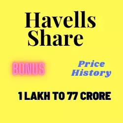 Havells Share Price in 1996