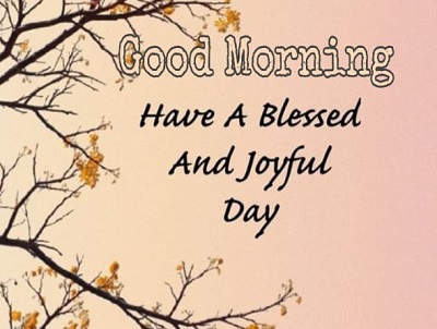 Amazing Images of Good Morning Wishes with Flowers Amazing Images of Good Morning Wishes with Flowers