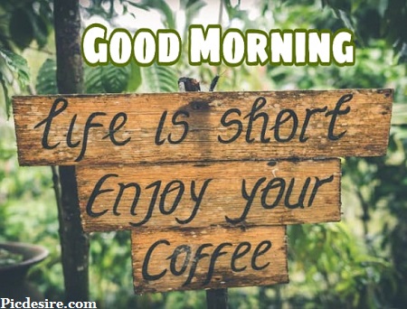 50 Beautiful Good Morning Quotes and Saying 50 Beautiful Good Morning Quotes and Saying