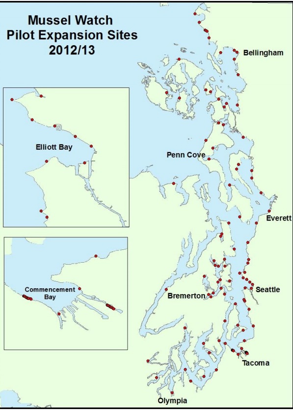 Protect Our Shoreline News WDFW Investigation Reveals Contaminants