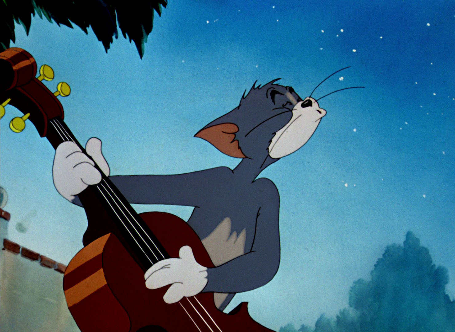 Том повторяет песню. Кот с гитарой. Том с гитарой. Том и Джерри на гитаре. Котик с гитарой.