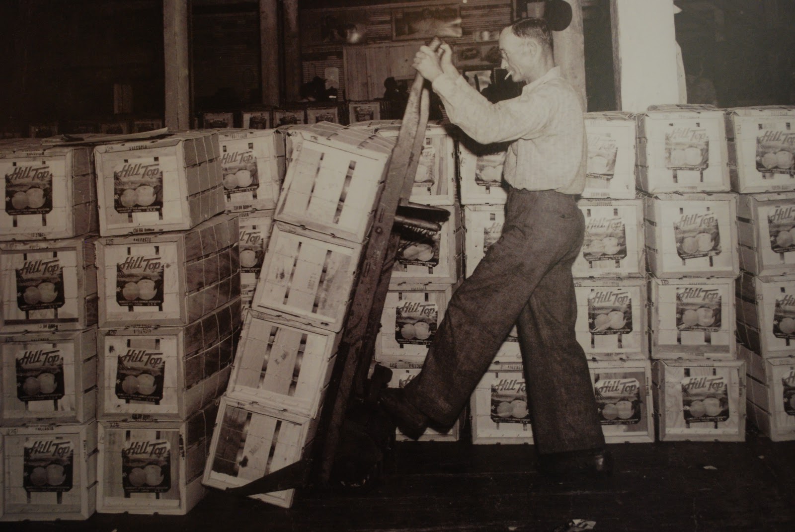 mamascout orange juice factory tour