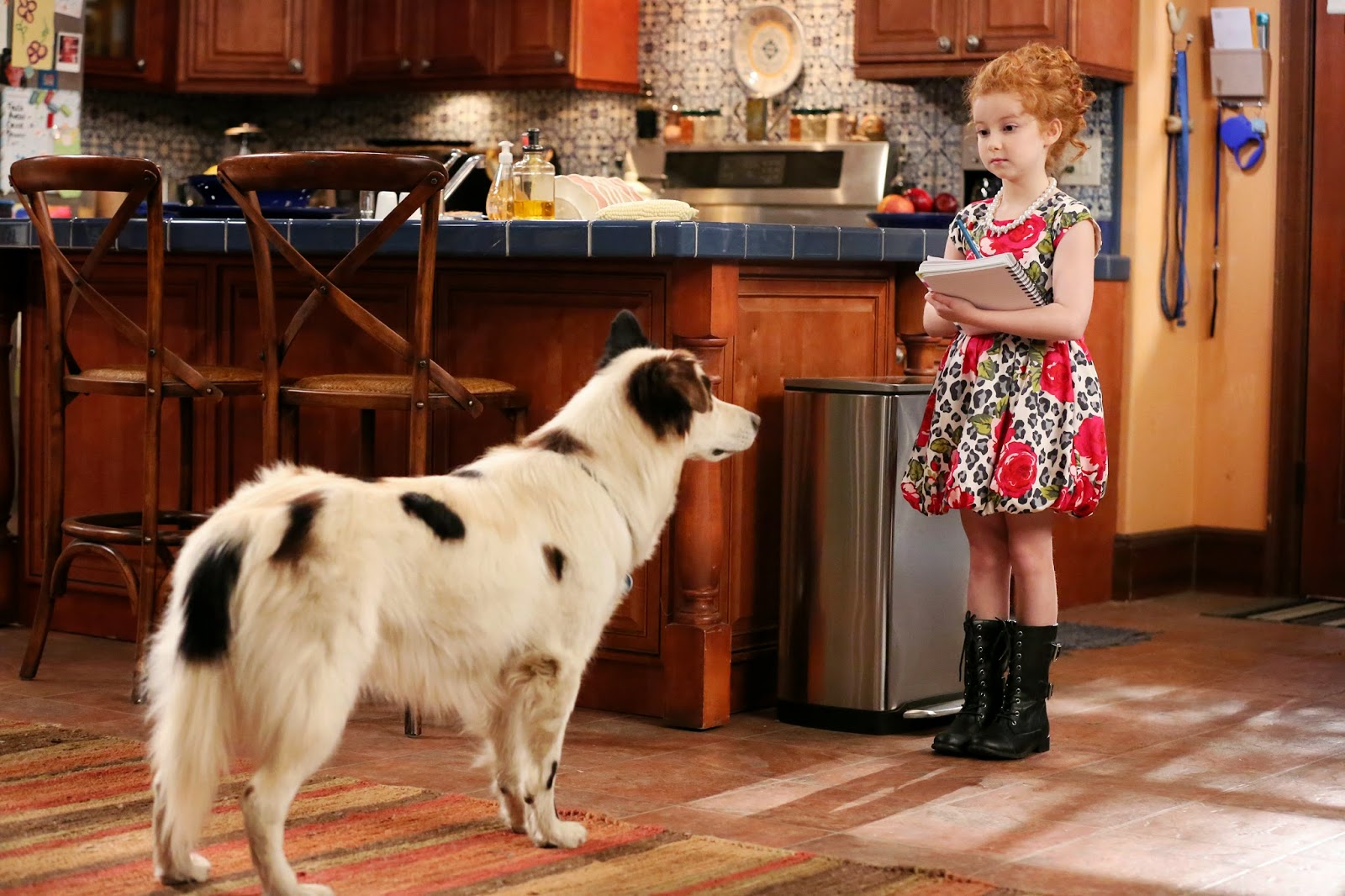RCN America MA Dog With A Blog "How I Met Your Brother... And Sister