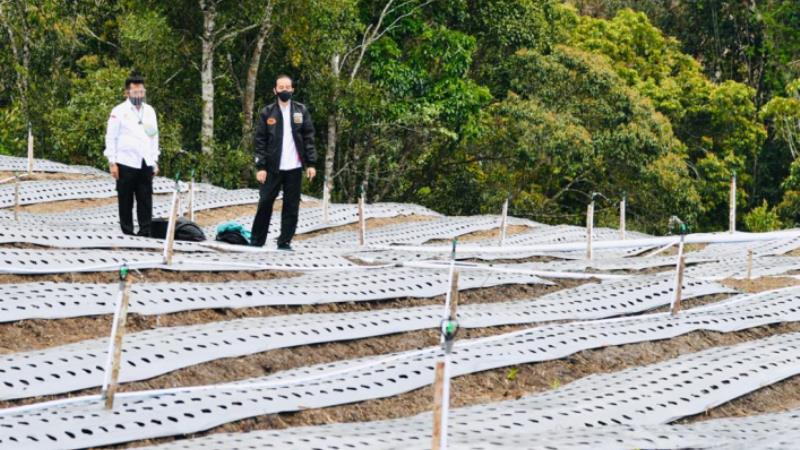 Pemerintah Tambah Alokasi Pupuk Bersubsidi Untuk Petani Lebih Banyak