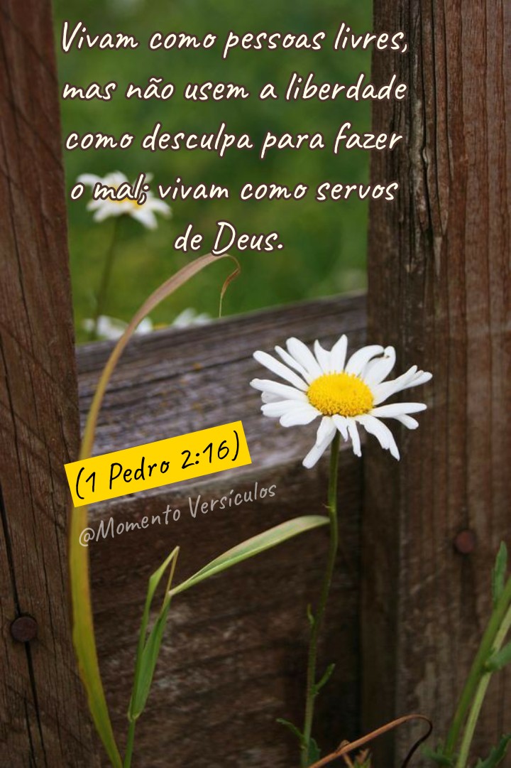 Momento Versículos ☘️ Vivam como servos de Deus. (1 Pedro 216)