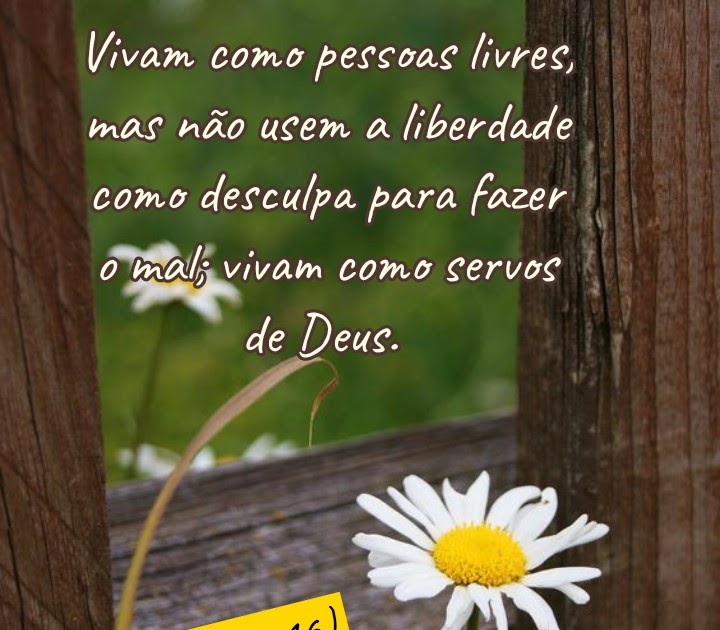 Momento Versículos ☘️ Vivam como servos de Deus. (1 Pedro 216)