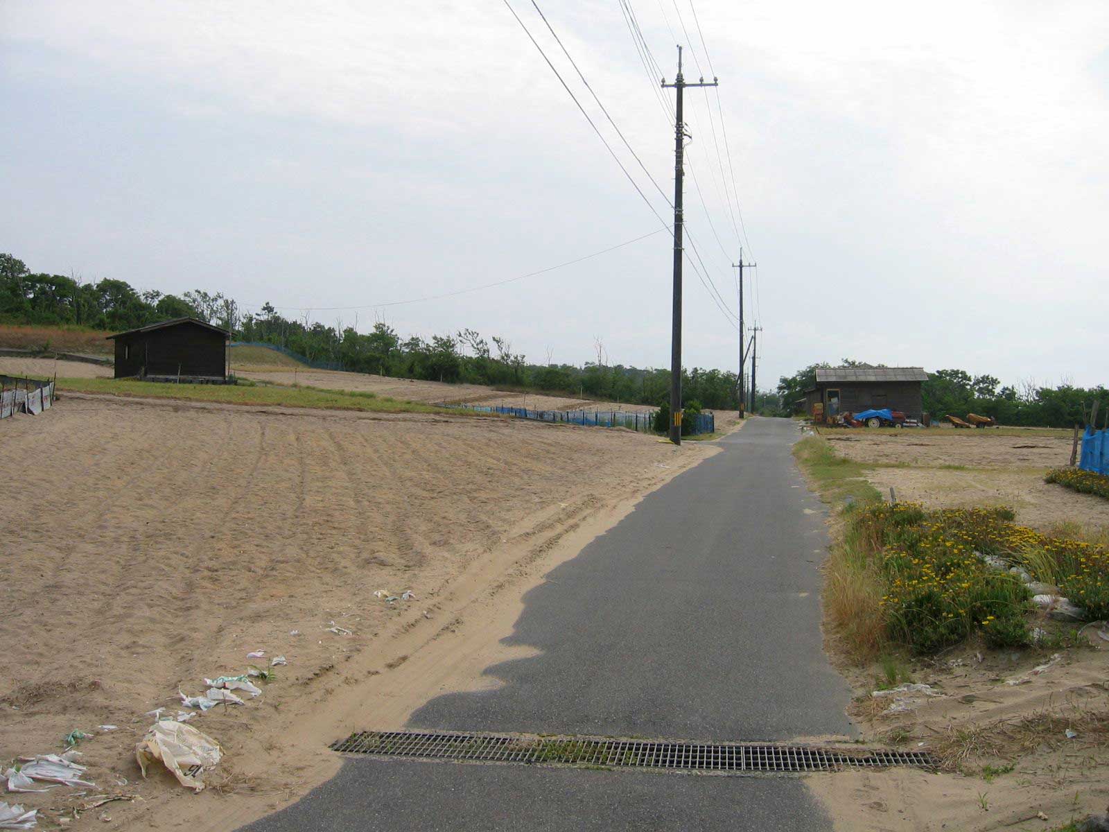 鳥取INABA因幡 砂丘らっきょう_海士_福部町_福部駅