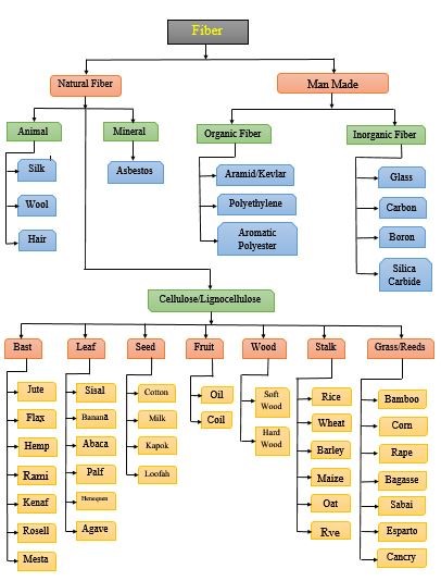 Flow Chart of Fiber Processing? - TE