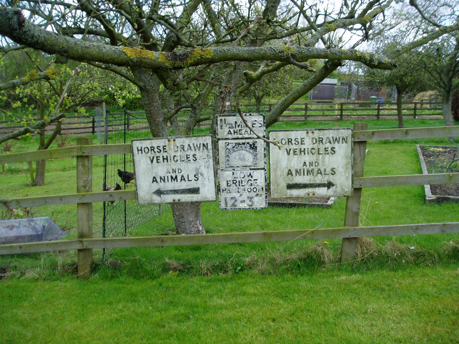 Prestwick, A Northumberland Mining Village