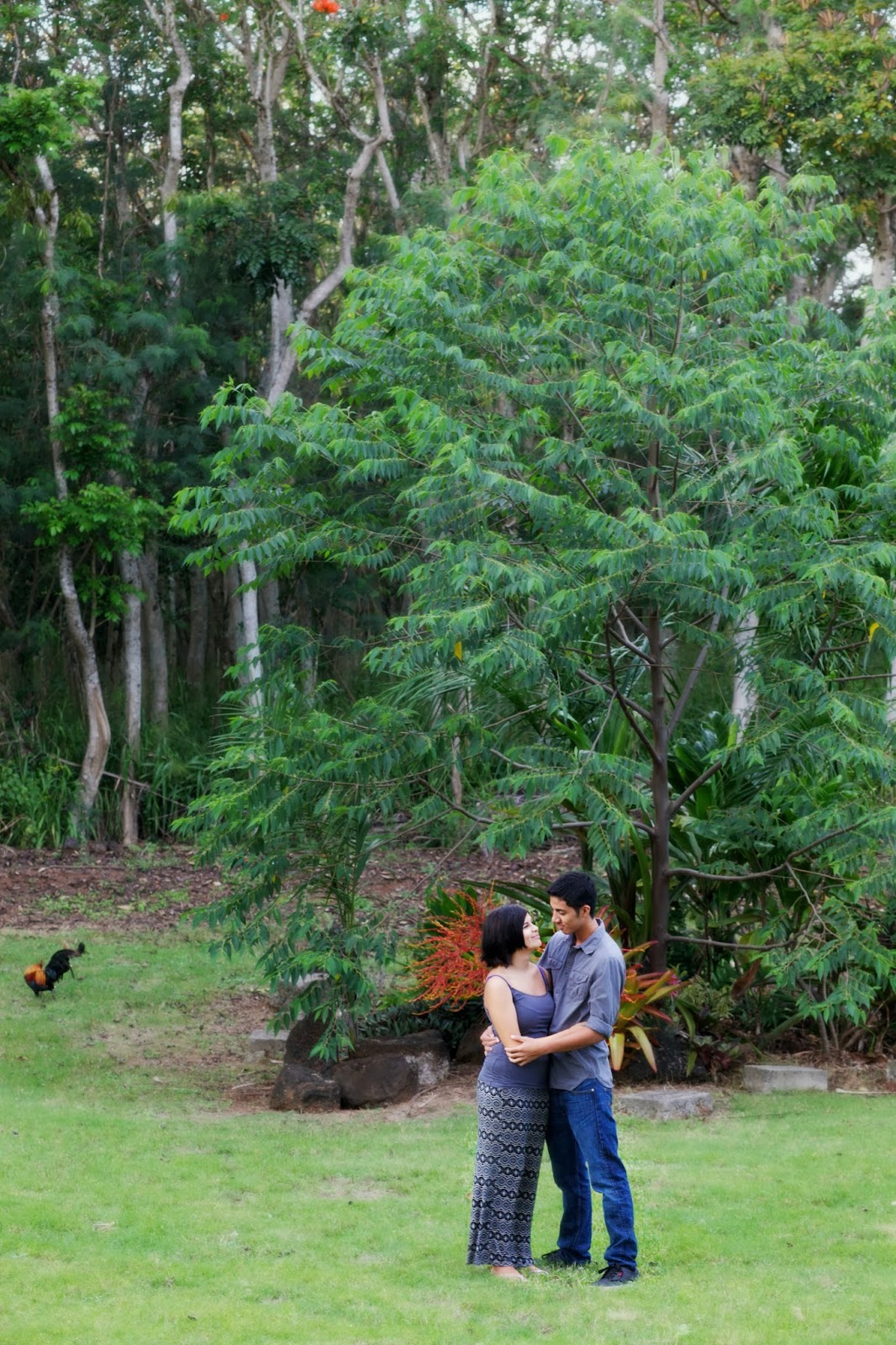 Kauai Bliss Photographer Wedding Photographer, Family and Commercial