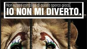 animali circo violenza diseducativo