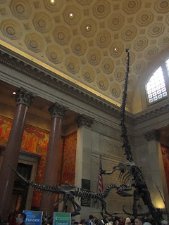 DECIMOQUINTO DÍA-2 Noviembre: ÚLTIMO DÍA. MUSEO DE HISTORIA NATURAL. - Desayuno en Nueva York y un Paseo por Washington (1)