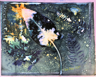 Wet Cyanotype_Sue Reno_Image 146