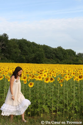 Walk near a field of sunflowers