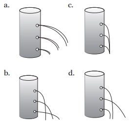 Scholarship essay examples image