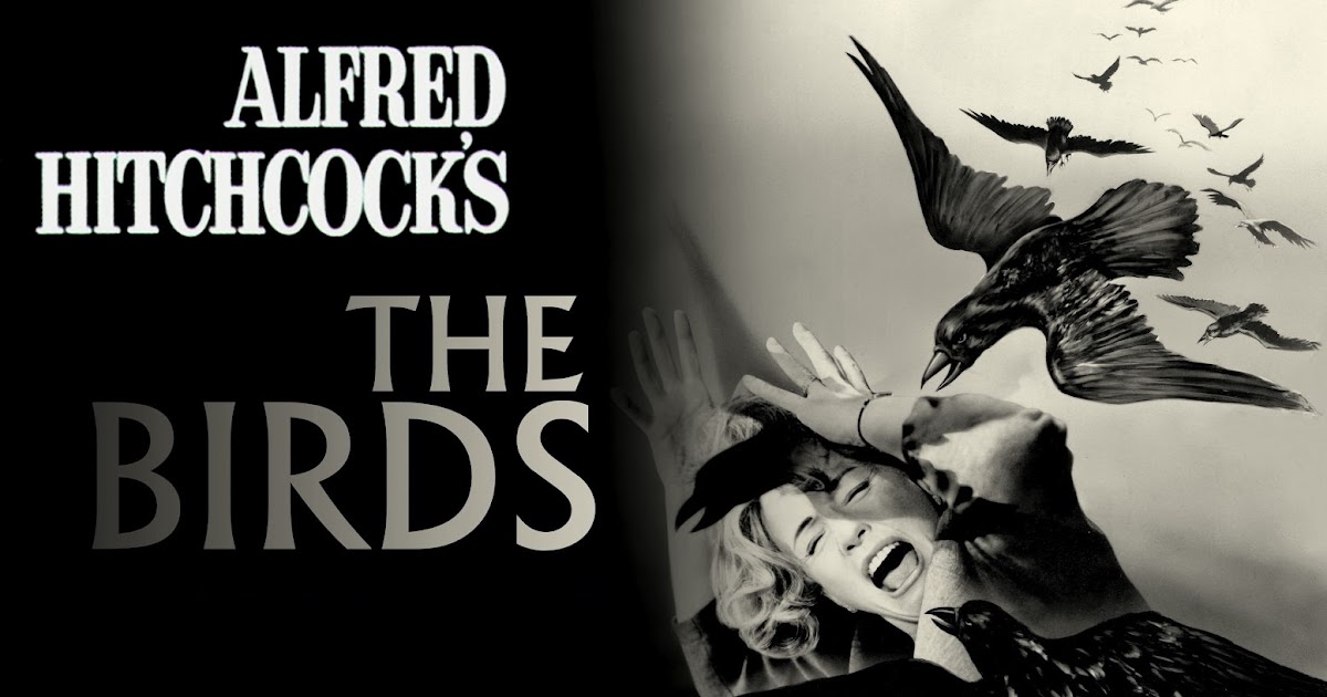 The birds part 1. Птицы хичкок постер. the birds 1963. птицы ужасы 1963.