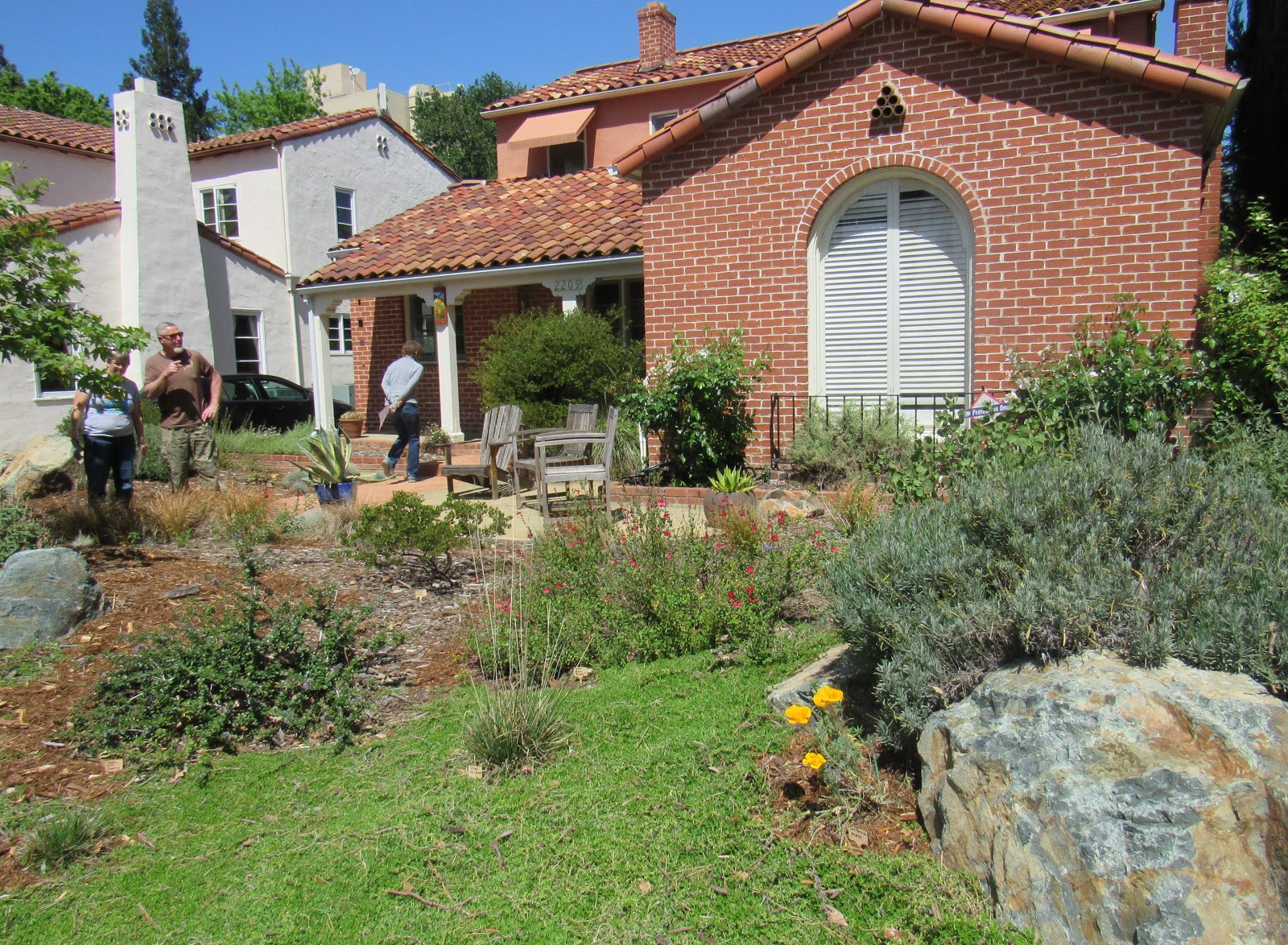 Shrubs For The Front Under Our Bedroom Window Garden Shrubs Shrubs