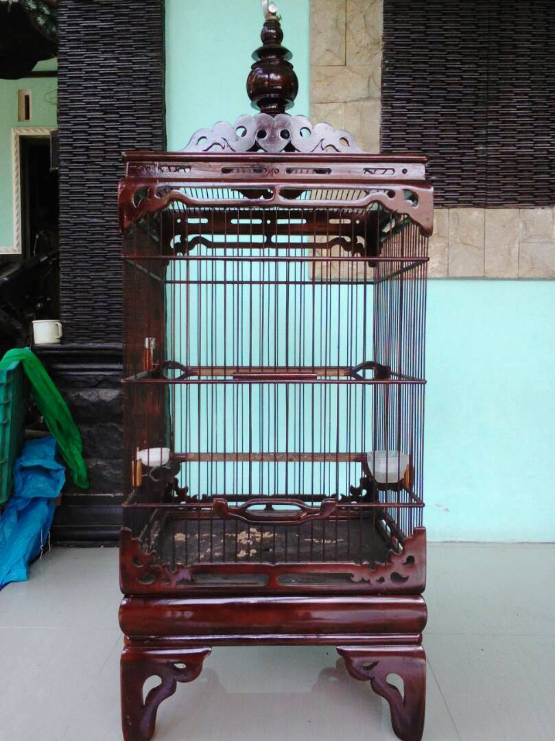 Sangkar Burung Udin Ragam Info