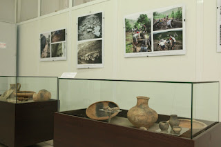 Expoziția „Davele Moldovei”