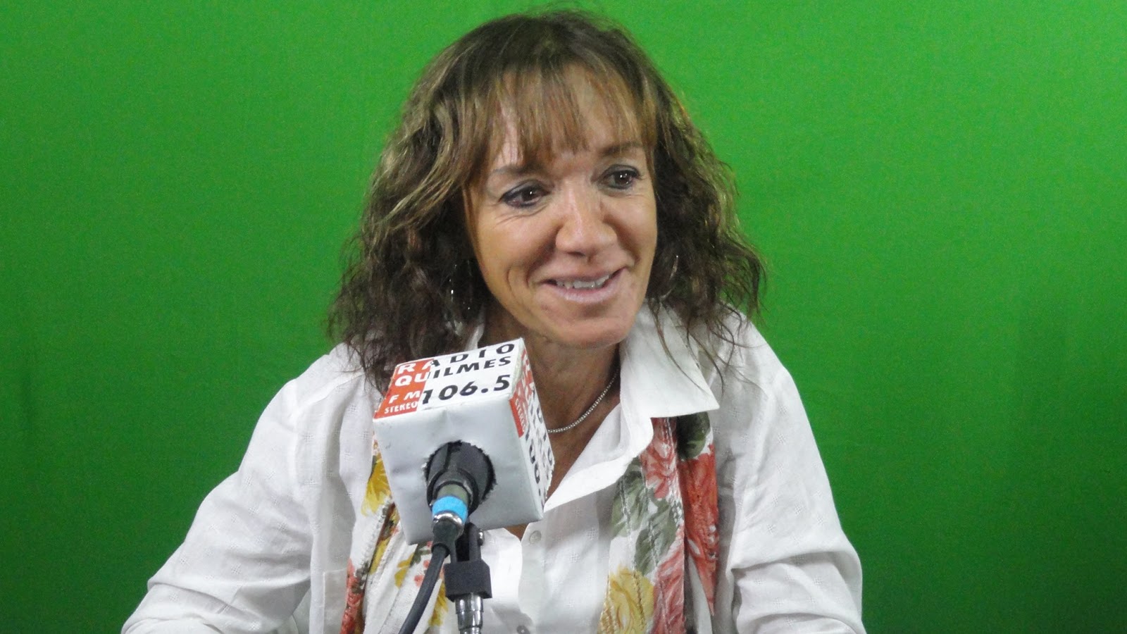 BERNALES: PRIMER AÑO EN LA FUNCION, DE LA DIPUTADA QUILMEÑA MONICA FRADE