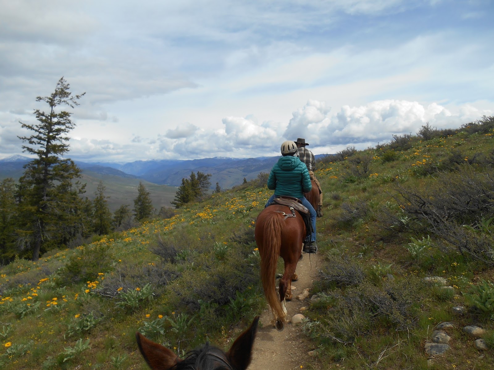Methow Valley Back Country Horsemen Patterson Mountain Ride