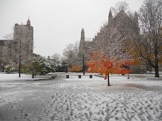Nature Photography: First Snow at Princeton