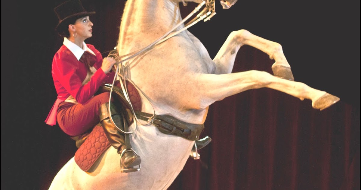 Buckles Blog HIND LEG 11