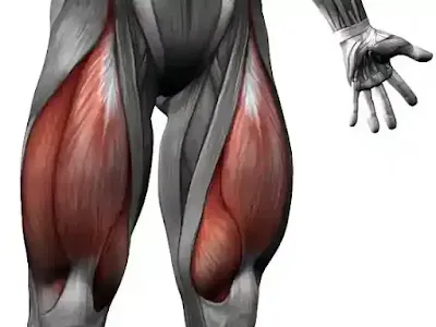 علاج الشد العضلي والتمزق العضلي في الفخذ الأمامي