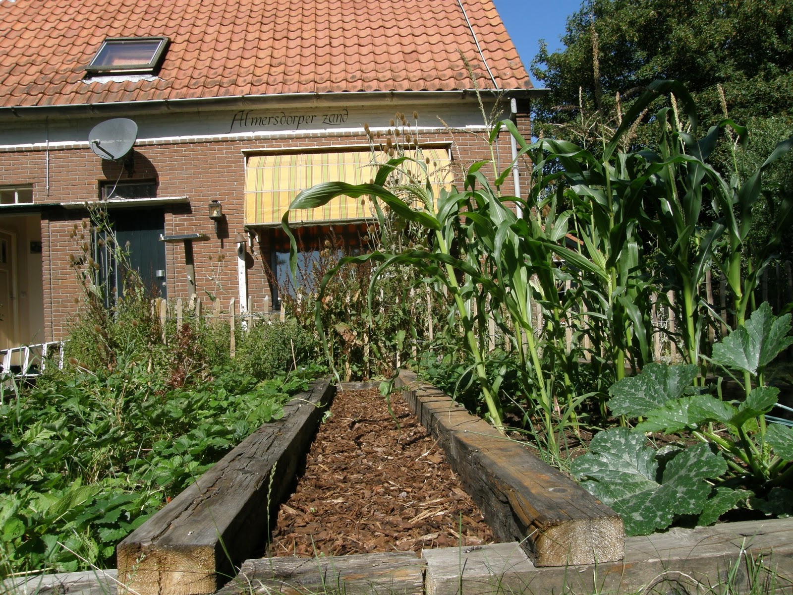 Van Zweedse Bodem Moestuinmaandag Week 35