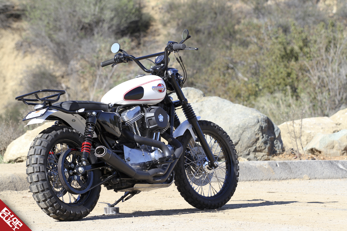 harley davidson iron 883 scrambler