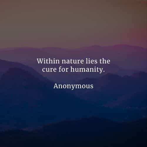 85 Nature quotes that'll inspire to love and value its beauty