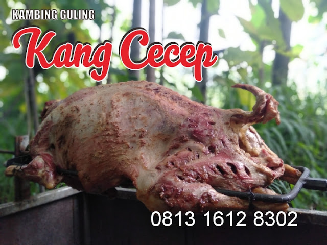 About kambing guling kang cecep