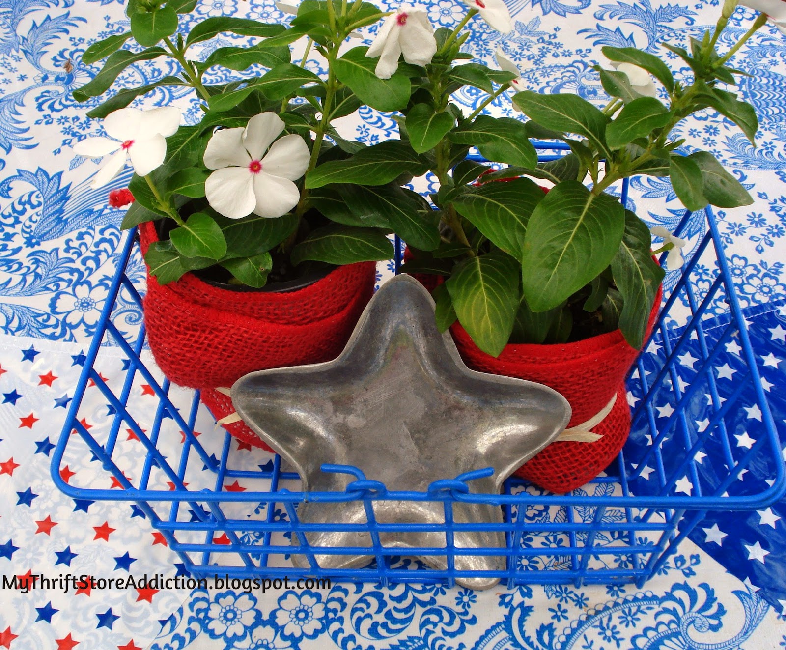 Patriotic planters 