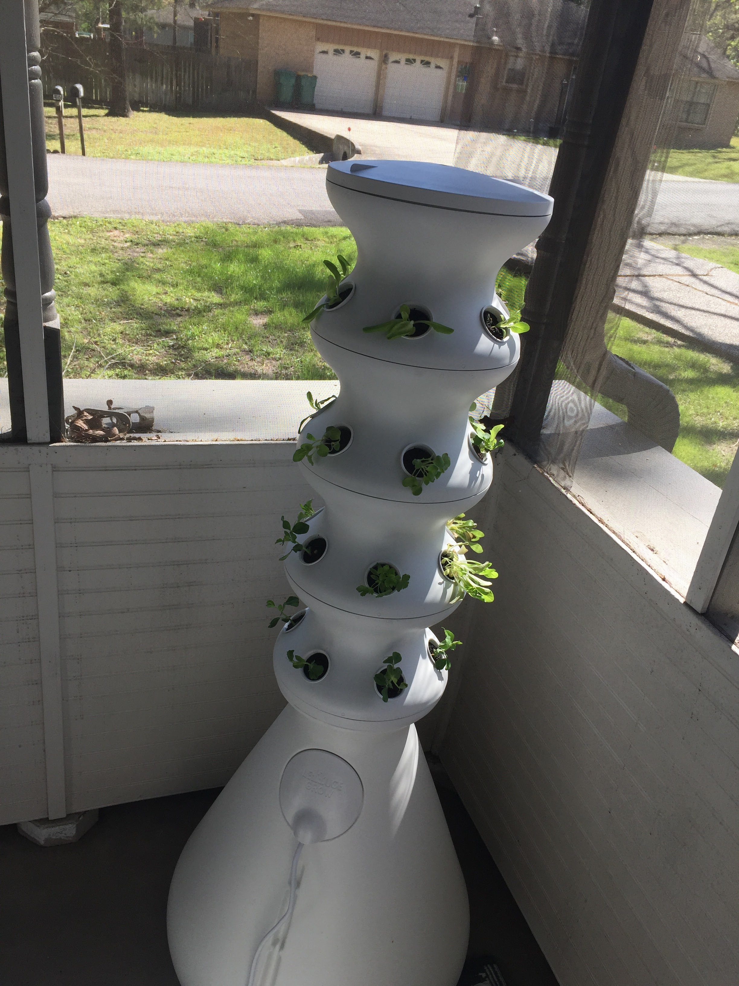 Lettuce Grow Urban Farmstand