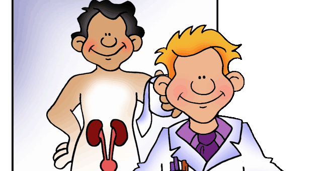 WORKING BEES BLOG: EXCRETORY SYSTEM