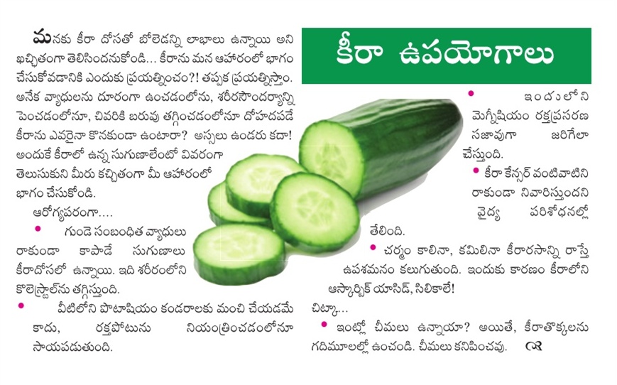 HEALTH BENEFITS WITH KEERA DOSAKAYA