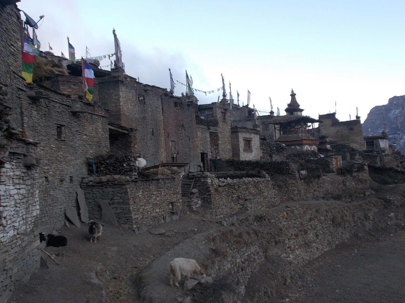 Вокруг Манаслу, долина Цум, Нар-Пу. Непал 2017.