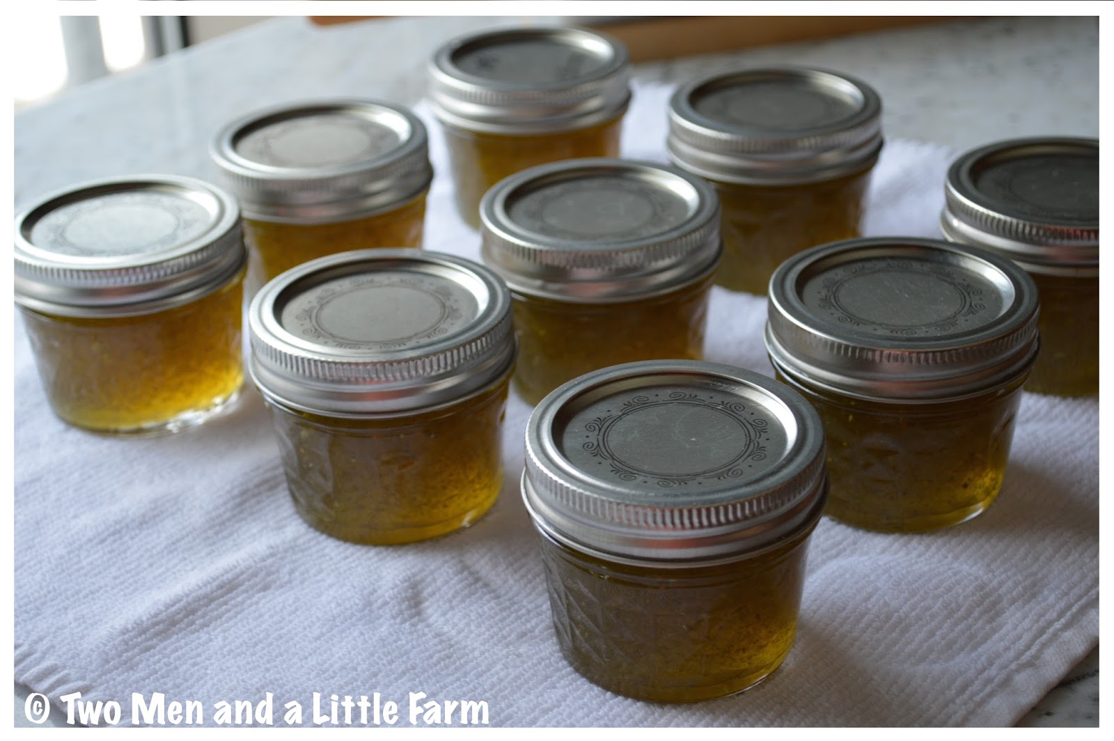 Two Men and a Little Farm JALAPENO JELLY CANNING RECIPE