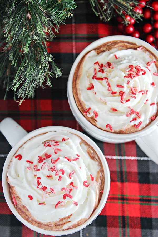 Peppermint and Whipped Vodka Hot Chocolate | Home Cooking Memories