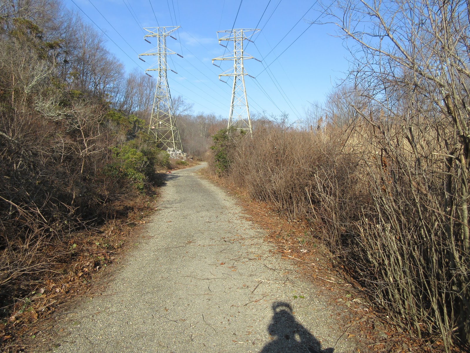 Shelton Trails Committee Brush Cutting at Great Ledge