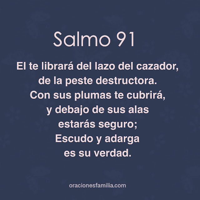 versiculos salmo 91 el te librara del lazo del cazador