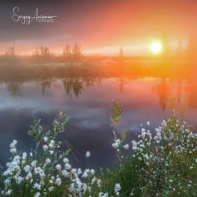 Сергей Анисимов фотограф