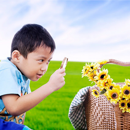 Arane Kembang Arane Anak Kewan Arane Godhong Arane Isi Pelajaran Jawa Untuk Anak Catatanairulbilal