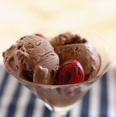 Chocolate and Nutmeg Ice Cream recipe by SeasonWithSpice.com