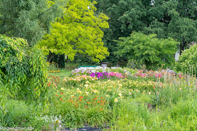 Powsin ogród botaniczny PAN krajobraz