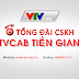 VTVCab chi nhánh Tiền Giang - Đơn vị lắp internet & Truyền hình cáp HD