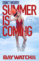 posters%2Bguardianes%2Bde%2Bla%2Bbahia 03