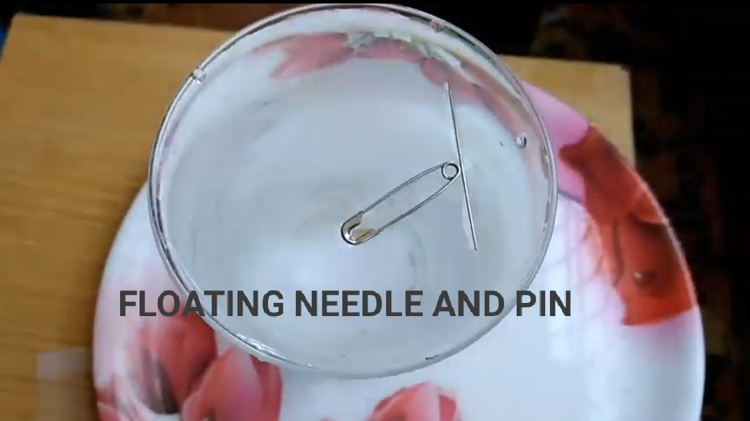 How to make a needle float in the water ? Floating needle experiment