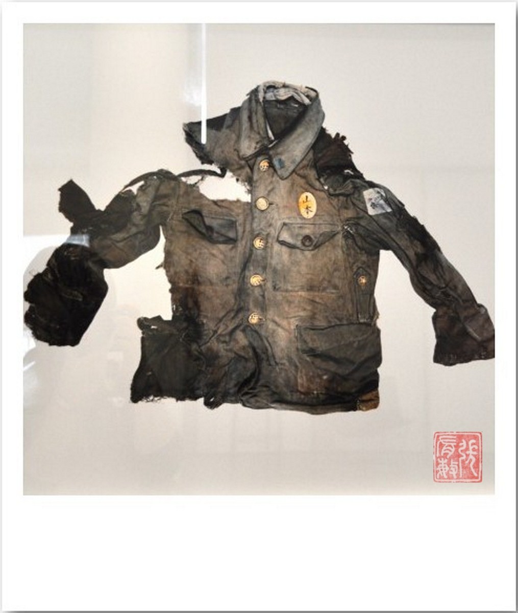 lampe uv tortue d'eau combien de temps